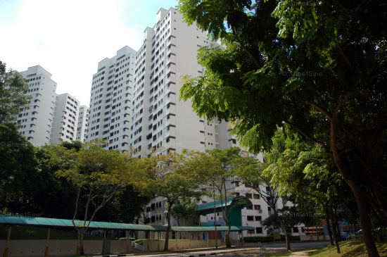 Blk 534 Jelapang Road (Bukit Panjang), HDB 5 Rooms #224402